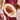 Festive Turkey Box